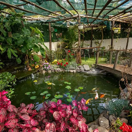 Levada House * Prazeres