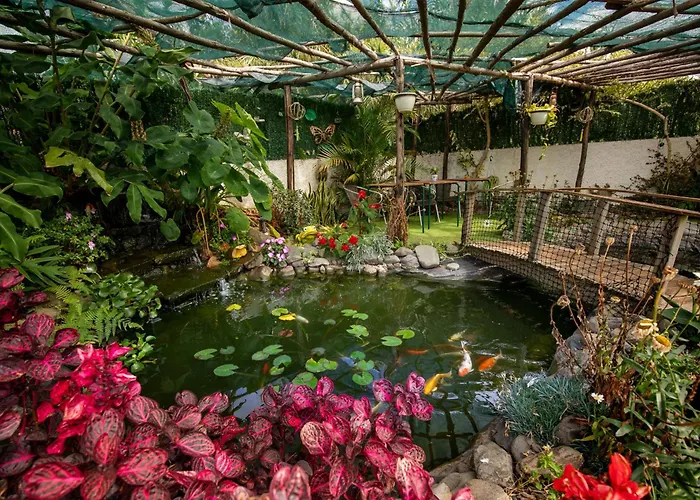 Levada House * Prazeres